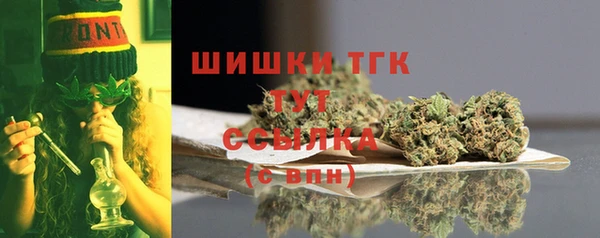 винт Бородино