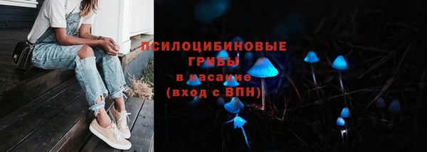 винт Бородино