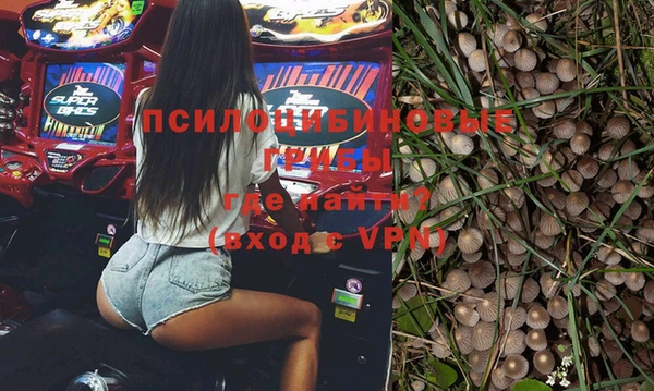 2c-b Богданович