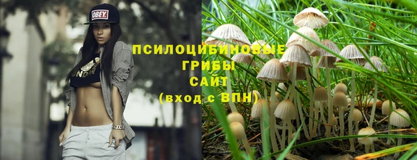 эйфоретик Бугульма